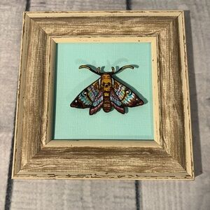Moth Wall Art